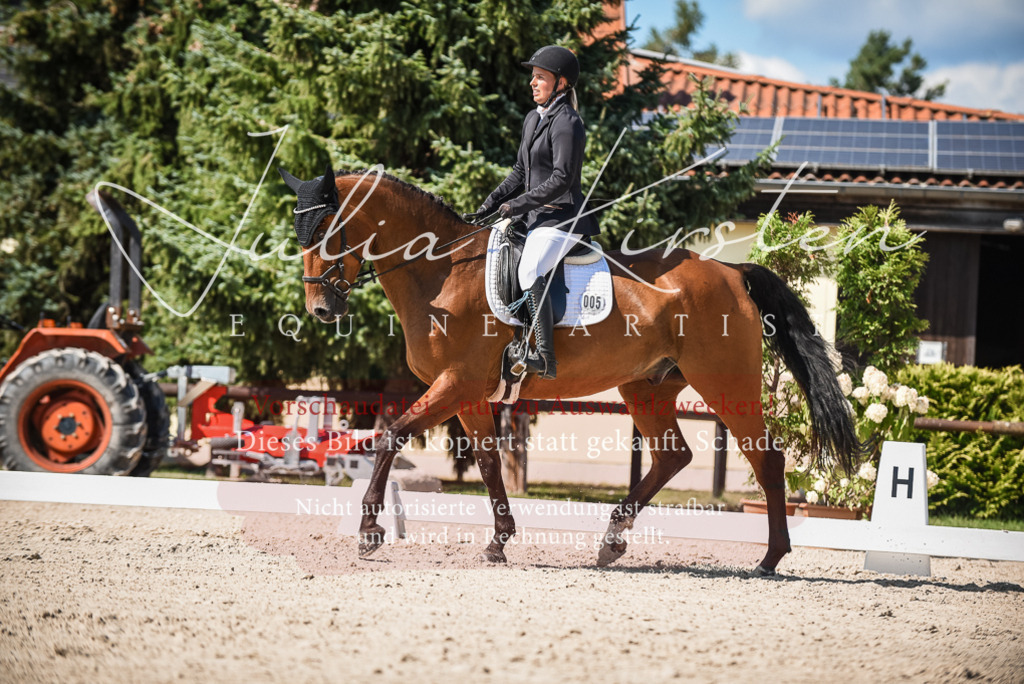 DSC_9665 | Pferde- und Turnierfotografie in Westsachsen. Pferdeportraits, Auftragszeichnungen und intuitive Kunst.
