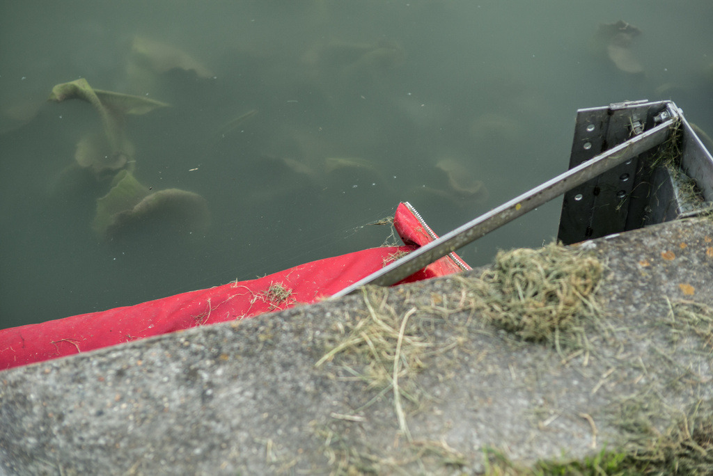 SN 24 | Ralph Driever - Fotograf - Realisiert mit Pictrs.com