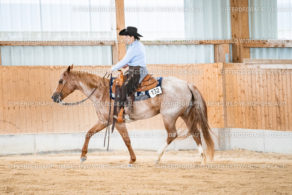 DSC09950 | Pferdegrafie