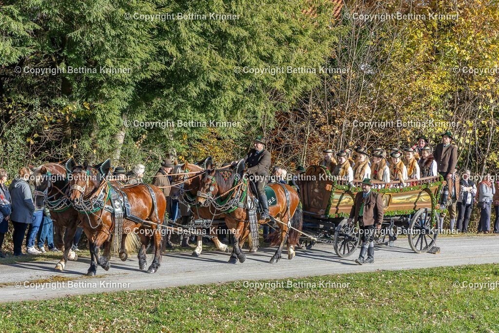 LBT25-549 | foto-bettina-krinner - Realisiert mit Pictrs.com