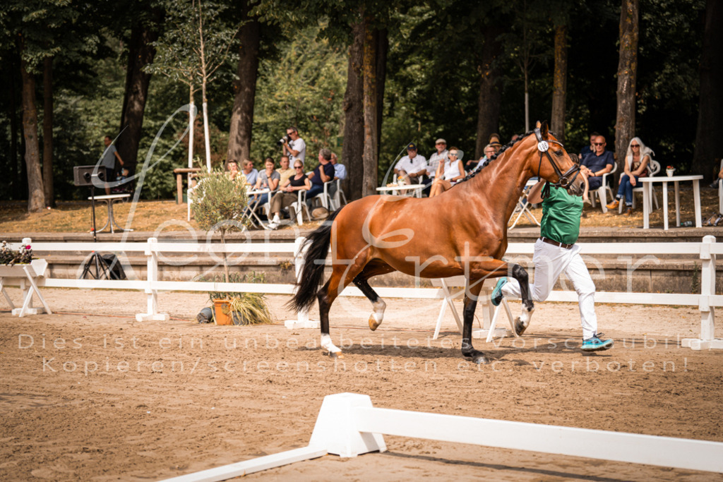 3.Fr00039 | Leoni Ertmer Photography - Realisiert mit Pictrs.com