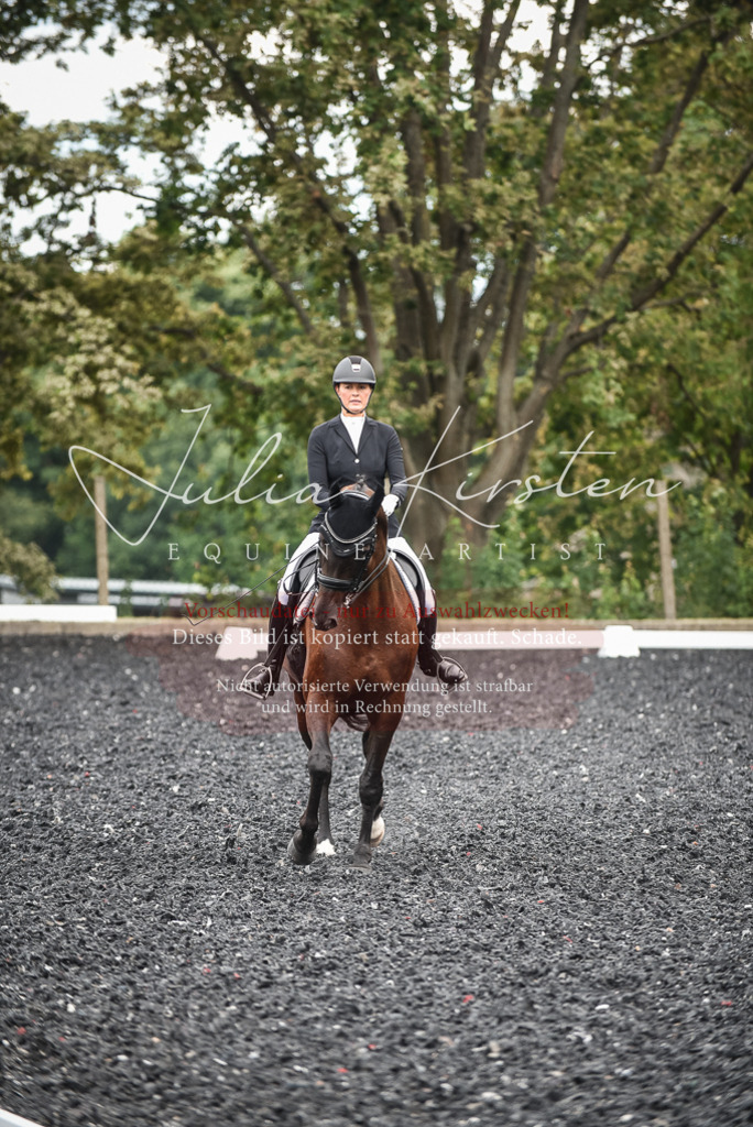 DSC_4837 | Pferde- und Turnierfotografie in Westsachsen. Pferdeportraits, Auftragszeichnungen und intuitive Kunst.