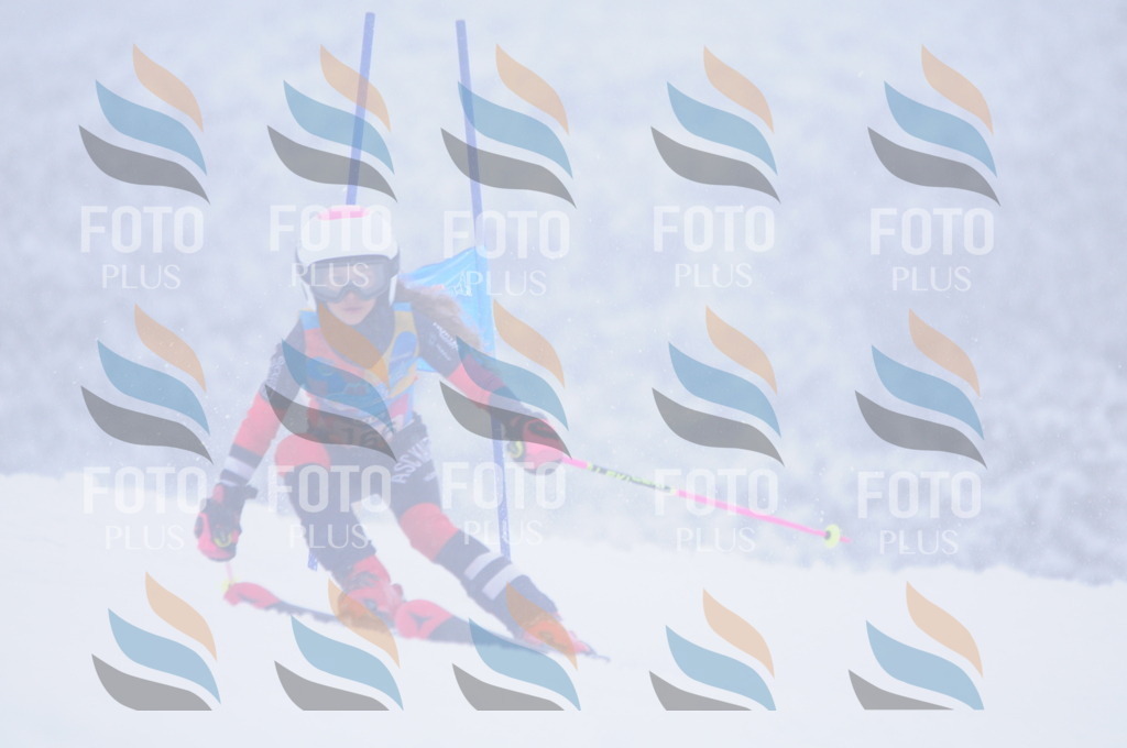 C1952 | holidayphoto