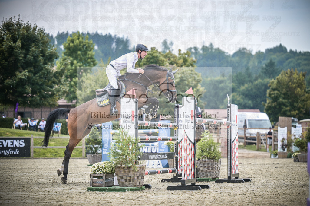 DOS_2603 | Entdecke hochwertige Reitturnierfotos von Foto Oger. Professionell, emotional und authentisch – jetzt Lieblingsmomente im Shop bestellen.Deutschlandweite Turnierfotografie. - Realisiert mit Pictrs.com