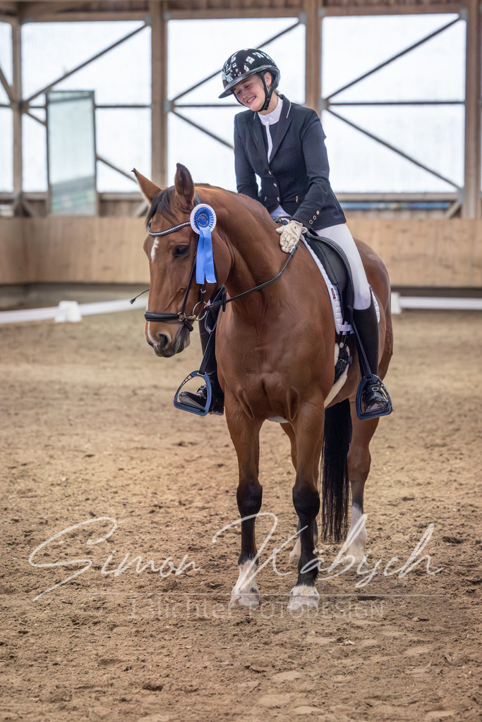20251011-_3LI2238 | Tierfotografie Pferde, Hunde, Katzen, Haustiere.
Turnierfotografie Reitturniere, Reiten, Springreiten, Dressur in Hanau, dem Main-Kinzig-Kreis und dem Rhein-Main- Gebiet um Frankfurt