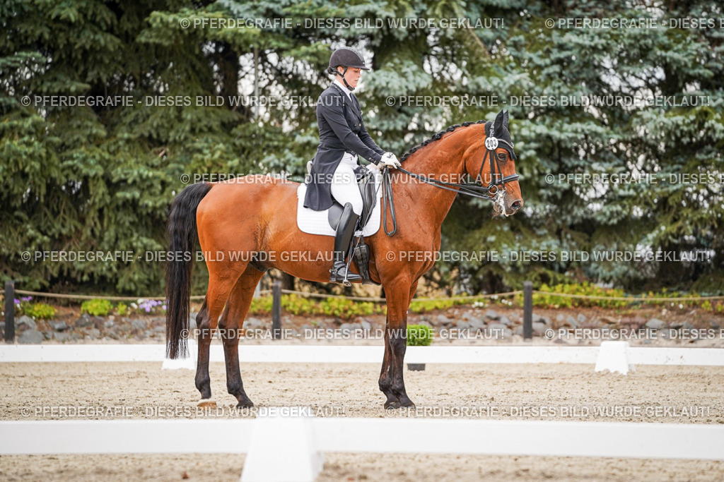 DSC07487 | Pferdegrafie