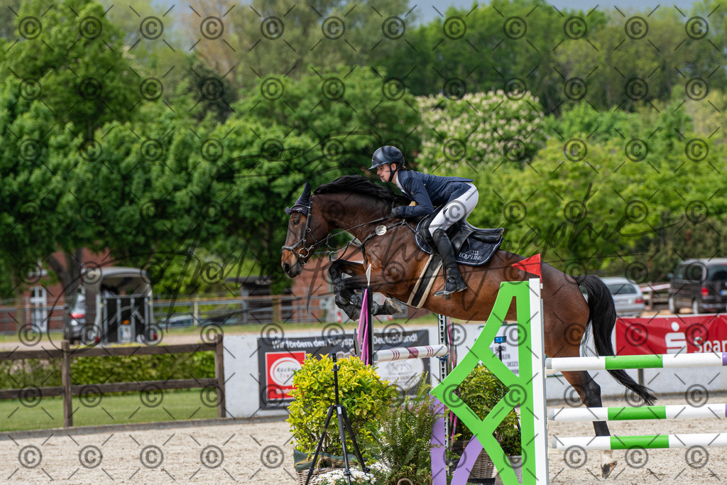 KPT_0230 | andre_photographic