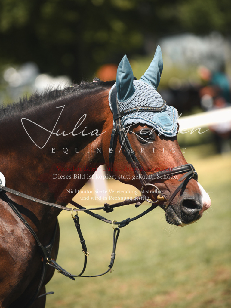 DSC_6777 | Pferde- und Turnierfotografie in Westsachsen. Pferdeportraits, Auftragszeichnungen und intuitive Kunst.