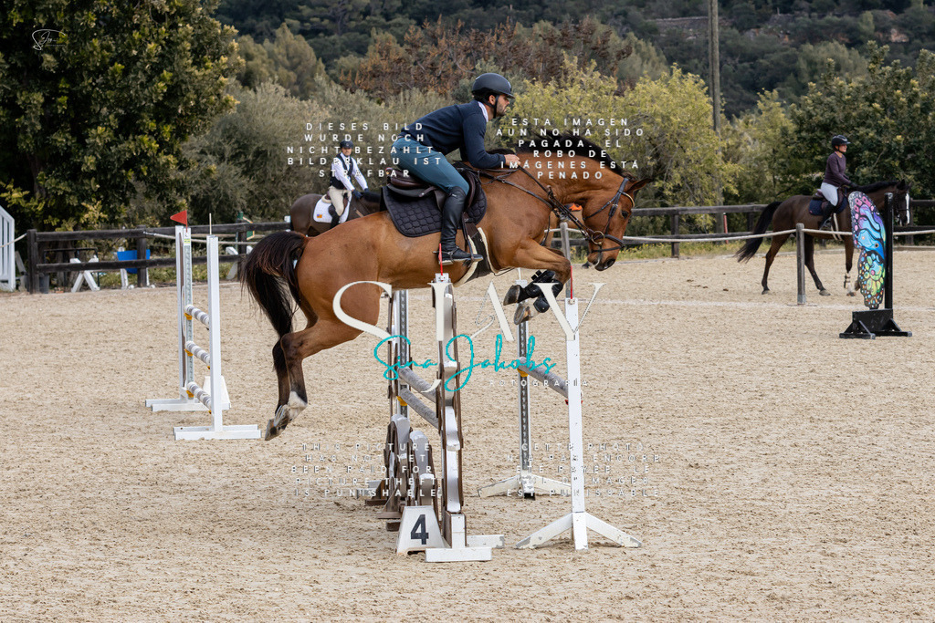 IMG_3952 | s-jay-photography - Realized with Pictrs.com