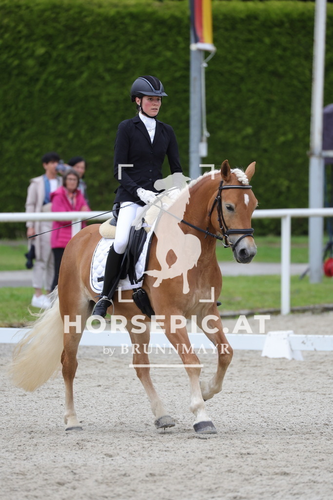 0P6A5247 | Willkommen bei Brunnmayr - Design & Fotografie – Ihrem Spezialisten für Reitturniere und Pferdeveranstaltungen in Oberösterreich, Salzburg und Bayern! Seit über 17 Jahren sind wir leidenschaftlich dabei.