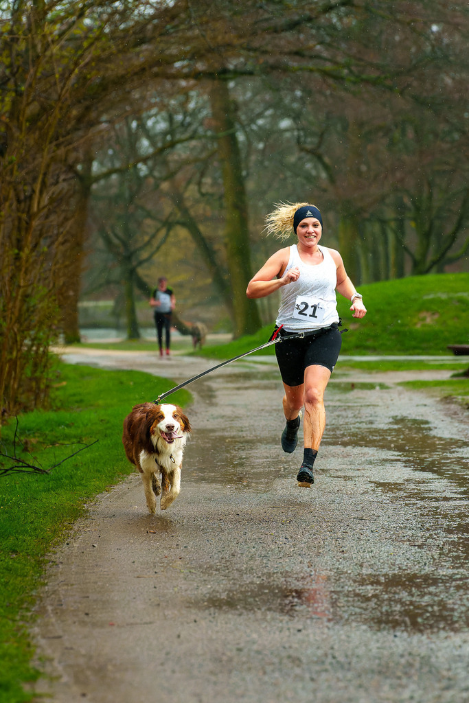allesWIRTHgut Tierfotografie - 7IV05817-ARW_DxO | Professionelle Tierfotografie in Mönchengladbach von Daniel Wirth (allesWIRTHgut). Liebevolle & natürliche Bilder von Hunden & Katzen für unvergessliche Erinnerungen.
