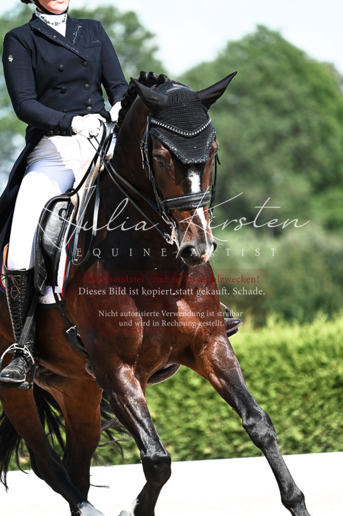 DSC_3374 | Pferde- und Turnierfotografie in Westsachsen. Pferdeportraits, Auftragszeichnungen und intuitive Kunst.