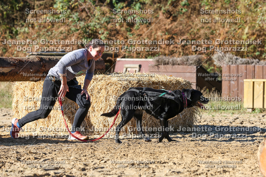 Dog Paparazzi - Strongdog 10-25-2233 | Dog Paparazzi Jeanette Grottendiek Fotografie & Videografie - Realisiert mit Pictrs.com