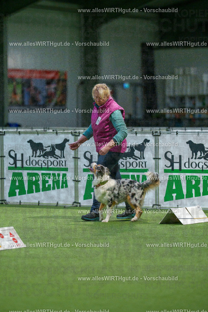 7R509546 | Professionelle Tierfotografie in Mönchengladbach von Daniel Wirth (allesWIRTHgut). Liebevolle & natürliche Bilder von Hunden & Katzen für unvergessliche Erinnerungen.