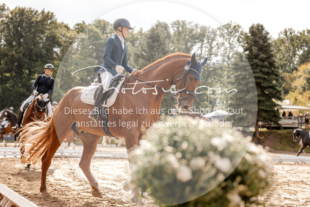 3I6A7015 | Stimmungsvolle Portraits und Reitsportfotografie im Ruhrgebiet und im Münsterland.

Pferdefotografie, Hundefotografie, Tierfotografie, Reportagen, Portraits von Tier und Mensch, Turnierfotografie in Bochum, Recklinghausen, Marl, Haltern am See, Dülmen.. - Realisiert mit Pictrs.com