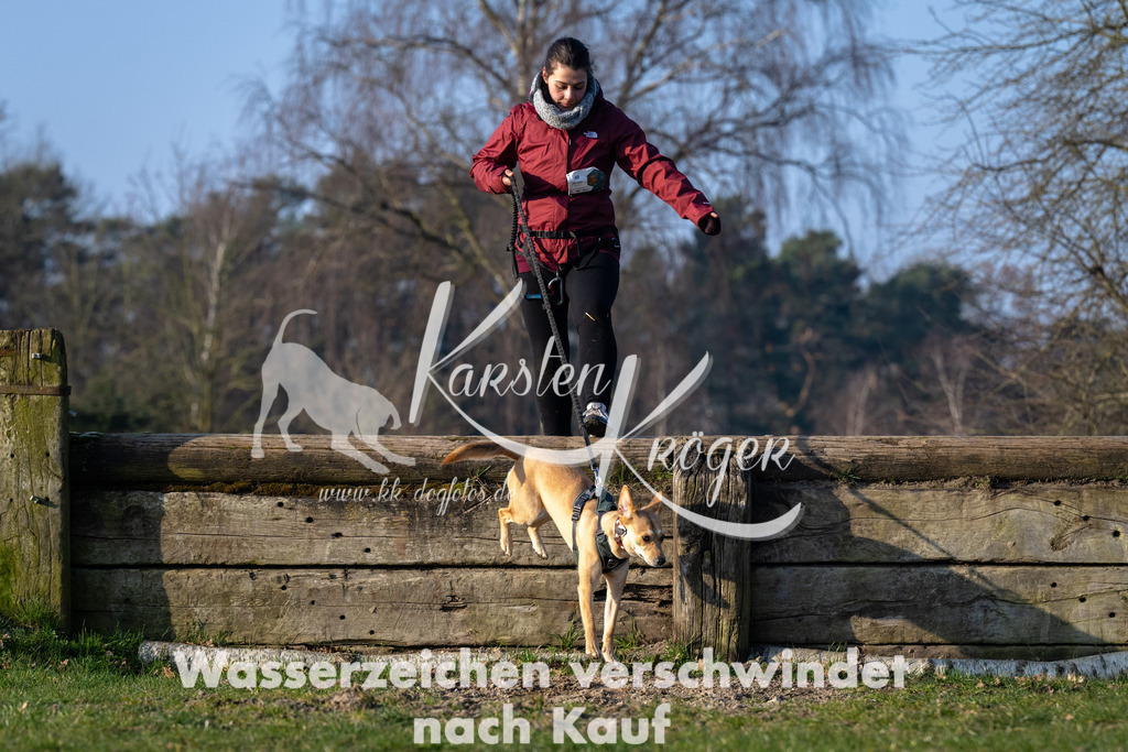 _ZZ92275 | kk-dogfotos