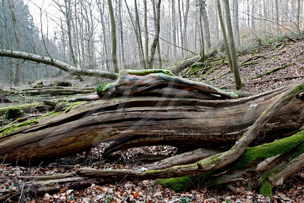 NatureArt-SPALTENBAUM_6850 | Auf dem Spaltenbaum liegend | #001 | Modell: Mandy | Foto: Tschiponnique Skupin - Realisiert mit Pictrs.com