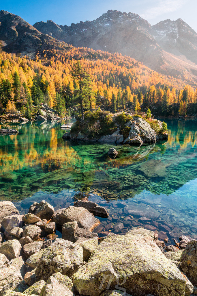 Gelbe Lärchen am Lago di Saoseo, Puschlav, Schweiz | Die ideale Geschenkidee für Naturliebhaber. Naturbilder von Marcel Gross Photography für ihr Zuhause in den verschiedensten Formaten und Materialien. - Realisiert mit Pictrs.com