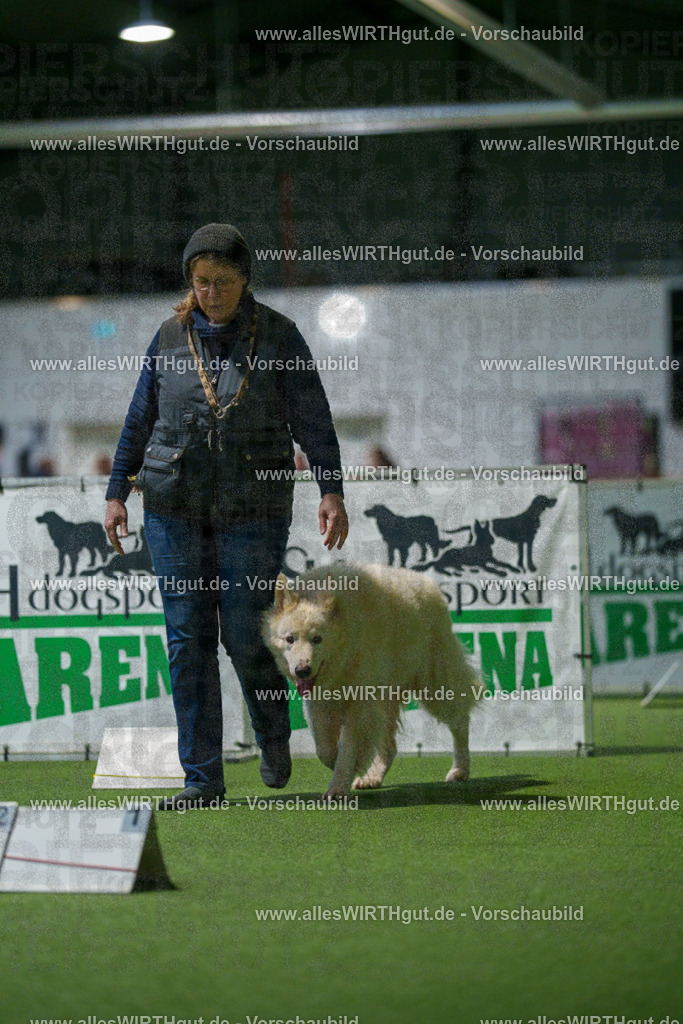 7R504169 | Professionelle Tierfotografie in Mönchengladbach von Daniel Wirth (allesWIRTHgut). Liebevolle & natürliche Bilder von Hunden & Katzen für unvergessliche Erinnerungen.