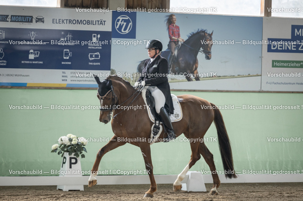 _D5A5335 | Emotionale Pferde- & People-Fotografie rund um Heidelberg, Leimen & Umgebung. Natürliche Fotos von Pferd, Mensch & Familie. Jetzt Termin sichern!