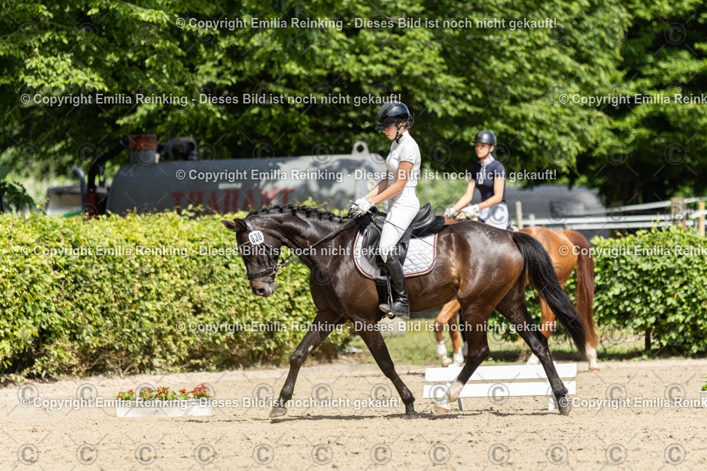 CL5A0666 | Emilia Reinking Fotografie - Realisiert mit Pictrs.com