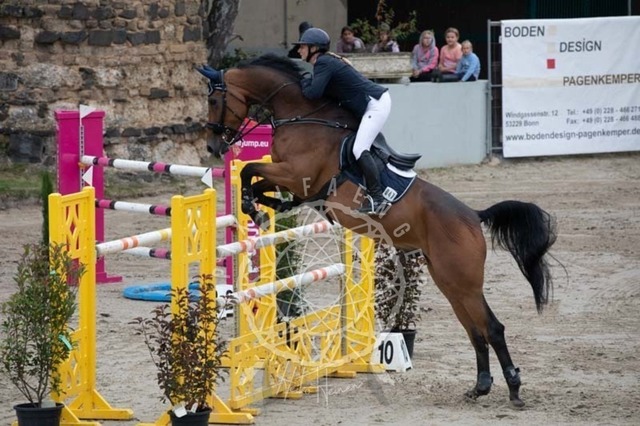 2B4A2622 | pixelfaenger - Realisiert mit Pictrs.com