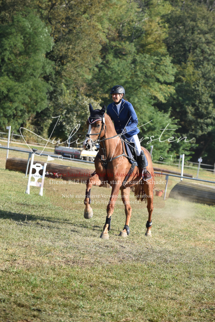DSC_5338 | Pferde- und Turnierfotografie in Westsachsen. Pferdeportraits, Auftragszeichnungen und intuitive Kunst.