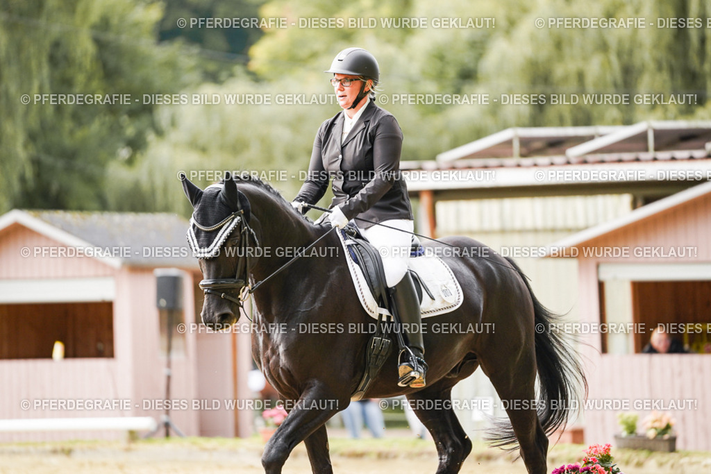 DSC01157 | Pferdegrafie