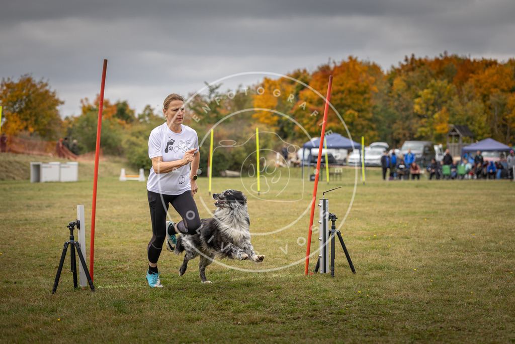 Pfotenfotografie_DV3A6002 | Hundefotografie, Tierfotograf, Pfotenfotografie, Fotoshooting Hund, Hunde Portrait, Hundesport, Hundeportraits, Heideshooting, Hunde, Sportfotograf, Hundefotograf, Turnierhundsport, THS,  - Realisiert mit Pictrs.com
