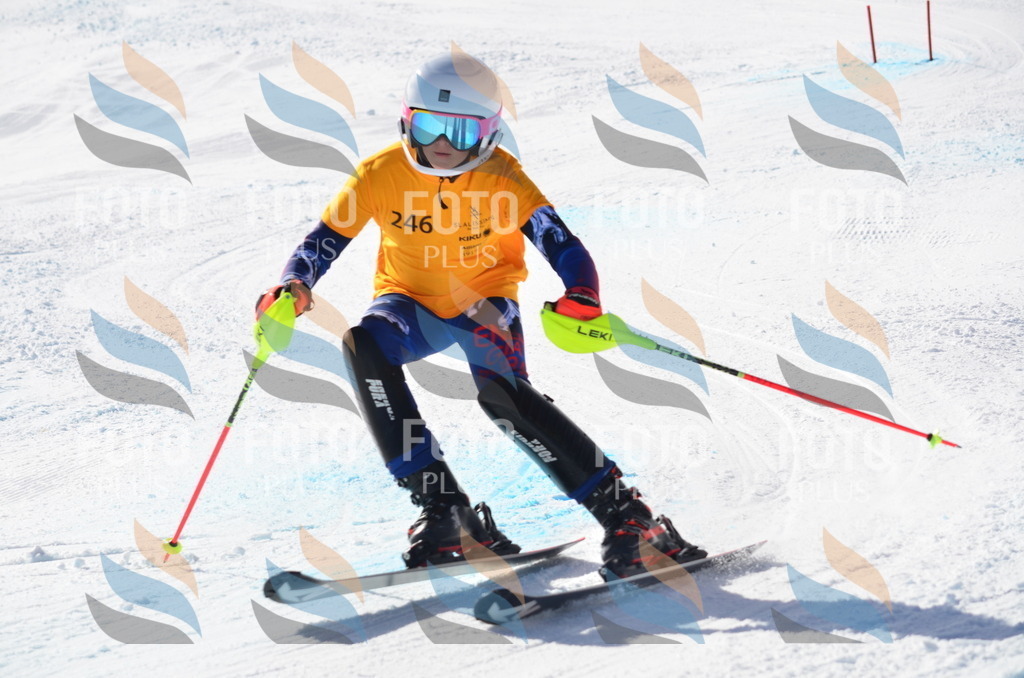 C8418 | holidayphoto