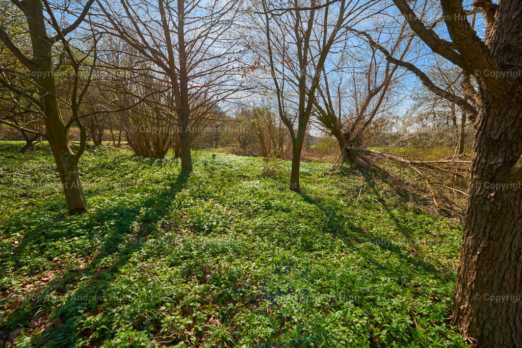 Das Flächen-Naturdenkmal Schinderlöcher im Ur-Tal der Rauda | Bedeutsame Landschaften Deutschlands - Realisiert mit Pictrs.com