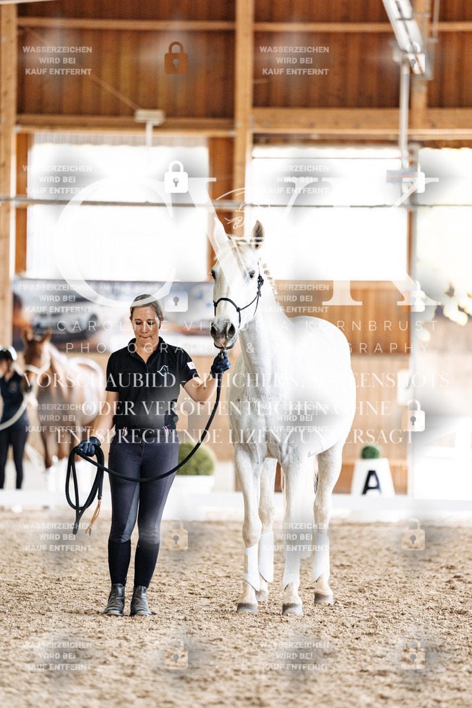 CK908221 | Turnierfotografie Pferdefotografie Trier Rheinland-Pfalz Pferdesport Reitsport Tierfotografie Sportfotografie Pferdevideo Pferdevideografie Equestrianvideography equestrianphotography  - Realisiert mit Pictrs.com