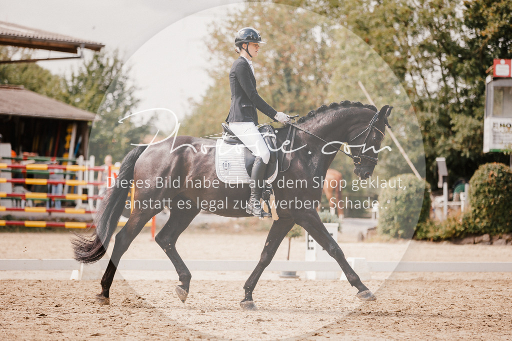 3I6A6080 | Stimmungsvolle Portraits und Reitsportfotografie im Ruhrgebiet und im Münsterland.

Pferdefotografie, Hundefotografie, Tierfotografie, Reportagen, Portraits von Tier und Mensch, Turnierfotografie in Bochum, Recklinghausen, Marl, Haltern am See, Dülmen.. - Realisiert mit Pictrs.com