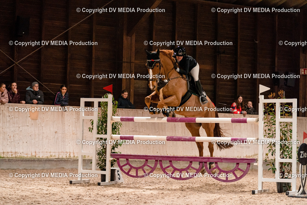 Springen Tag 2-896 | dv-media-shop - Realisiert mit Pictrs.com