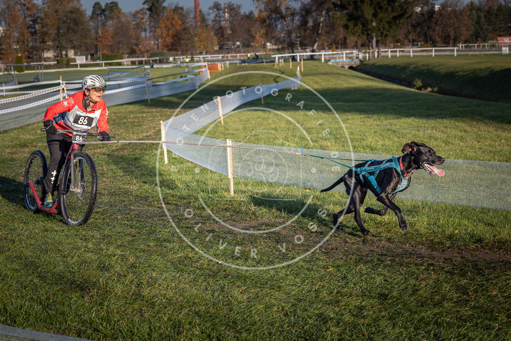 CaniXpix_0L8A3810 | Hundefotografie, Tierfotograf, Pfotenfotografie, Fotoshooting Hund, Hunde Portrait, Hundesport, Hundeportraits, Heideshooting, Hunde, Sportfotograf, Hundefotograf, Turnierhundsport, THS,  - Realisiert mit Pictrs.com