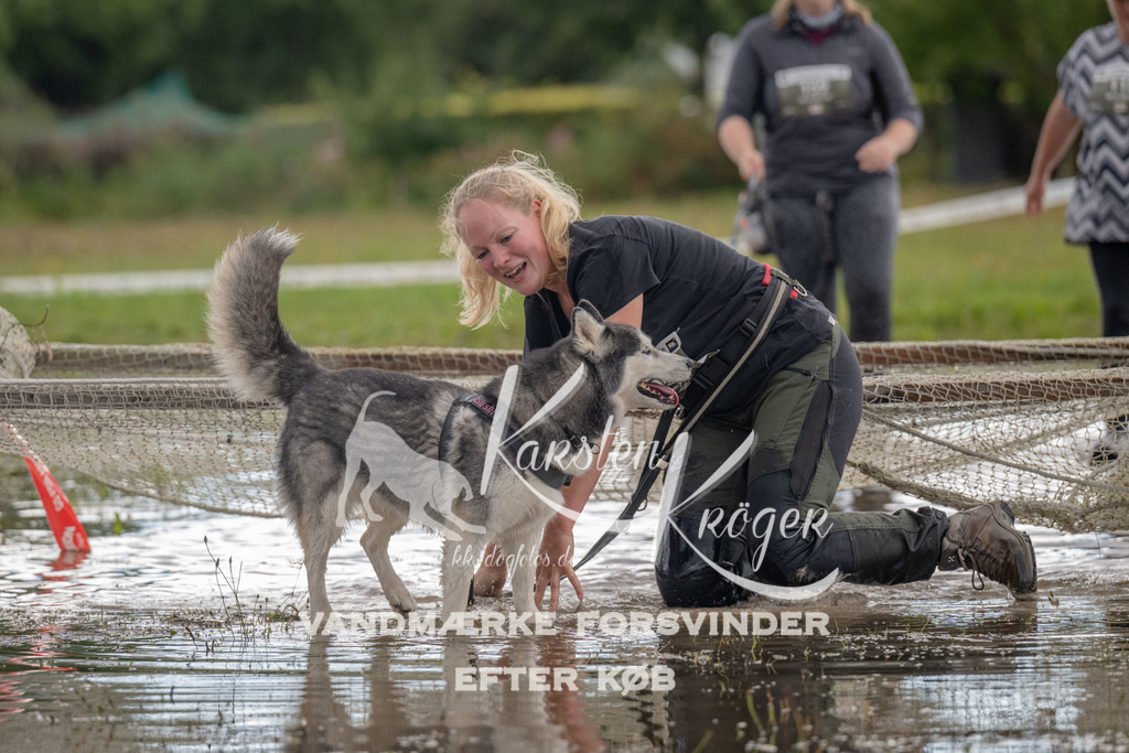 1432_ZZ90170 | kk-dogfotos