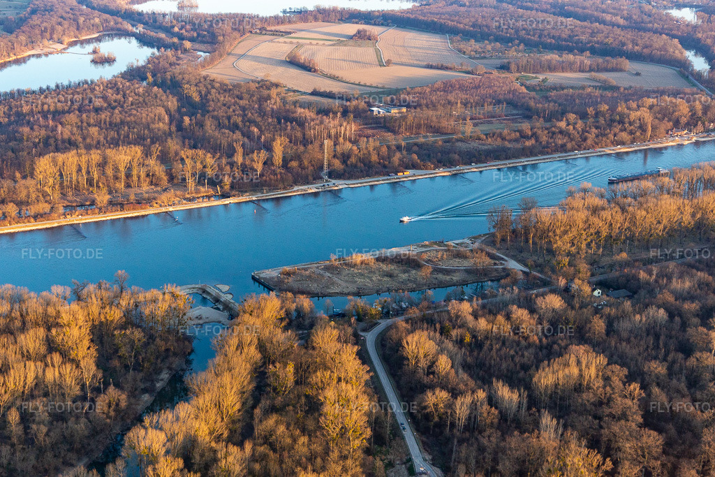 Luftbild: Altrhein Leimersheim in Leimersheim im Bundesland Rheinland-Pfalz in Deutschland. Foto: IMG_130869.jpg vom 09.03.2022 durch Werner Riehm/FLY-FOTO.de