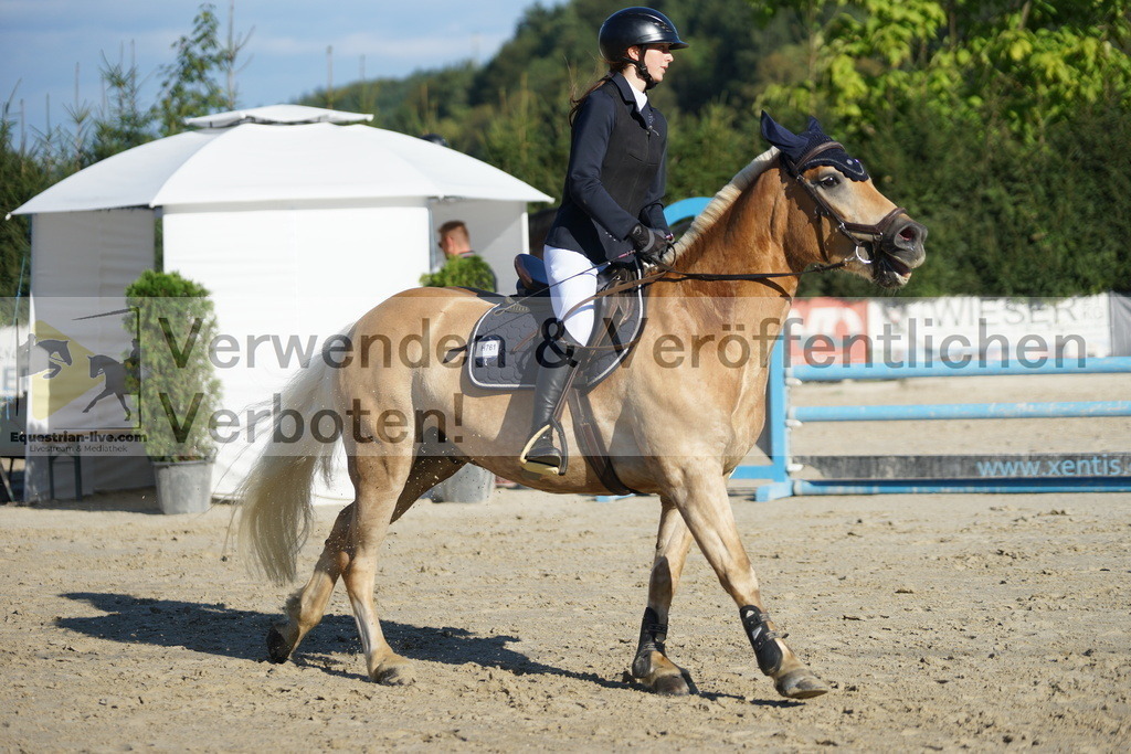 DSC09521 | equestrian-live-com