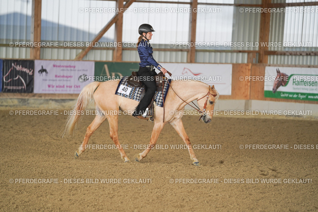 DSC09281 | Pferdegrafie