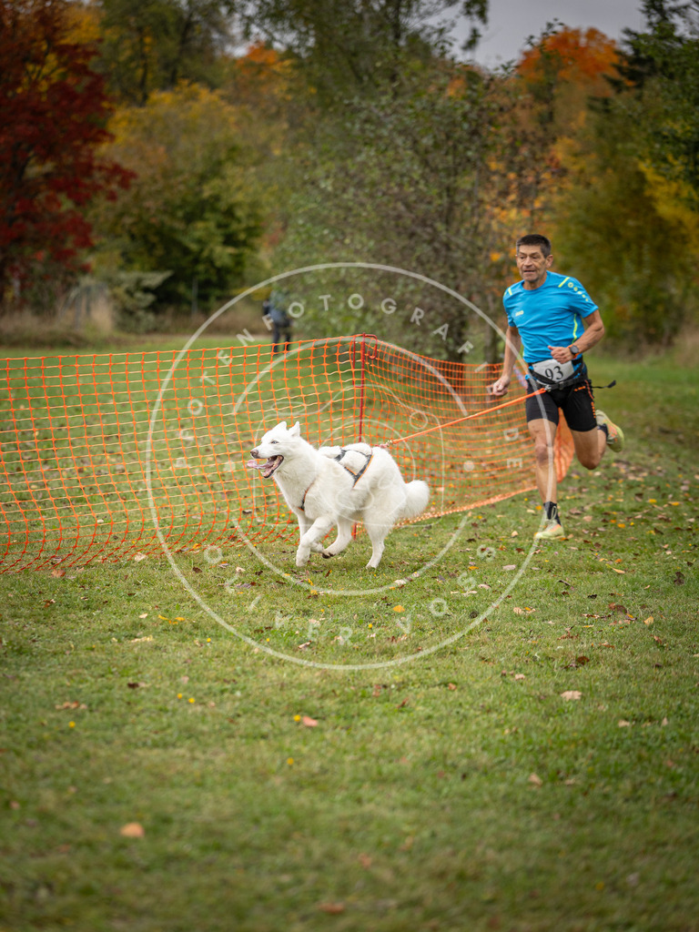 Pfotenfotografie_DV3A3327 | Hundefotografie, Tierfotograf, Pfotenfotografie, Fotoshooting Hund, Hunde Portrait, Hundesport, Hundeportraits, Heideshooting, Hunde, Sportfotograf, Hundefotograf, Turnierhundsport, THS,  - Realisiert mit Pictrs.com