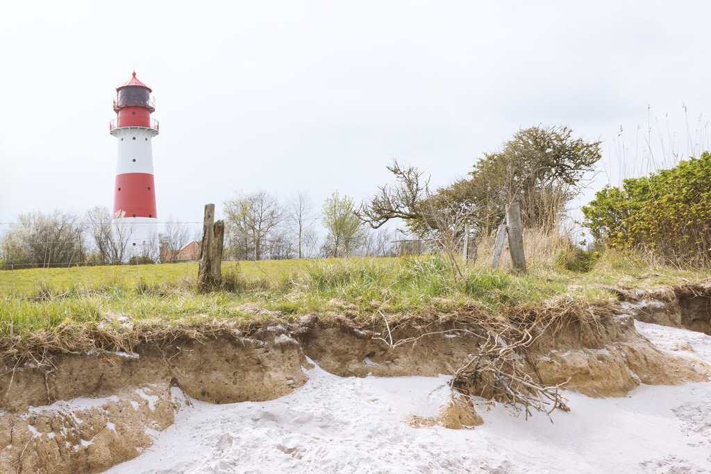Wandbild: Naturidylle am Leuchtturm in Falshöft | Dieses authentische Wandbild fängt die raue, unverfälschte Schönheit der Küste bei Falshöft ein. Im Vordergrund zeigt sich die kleine, sandige Abbruchkante mit freiliegenden Wurzeln und einem rustikalen Weidezaun, während der markante rot-weiße Leuchtturm im Hintergrund majestätisch über der Landschaft thront. Die natürlichen Erdtöne und die bodennahe Perspektive verleihen dem Motiv Tiefe und einen echten, geerdeten Charakter – perfekt für stilvolle Wohnräume mit einer Vorliebe für die nordische Natur.