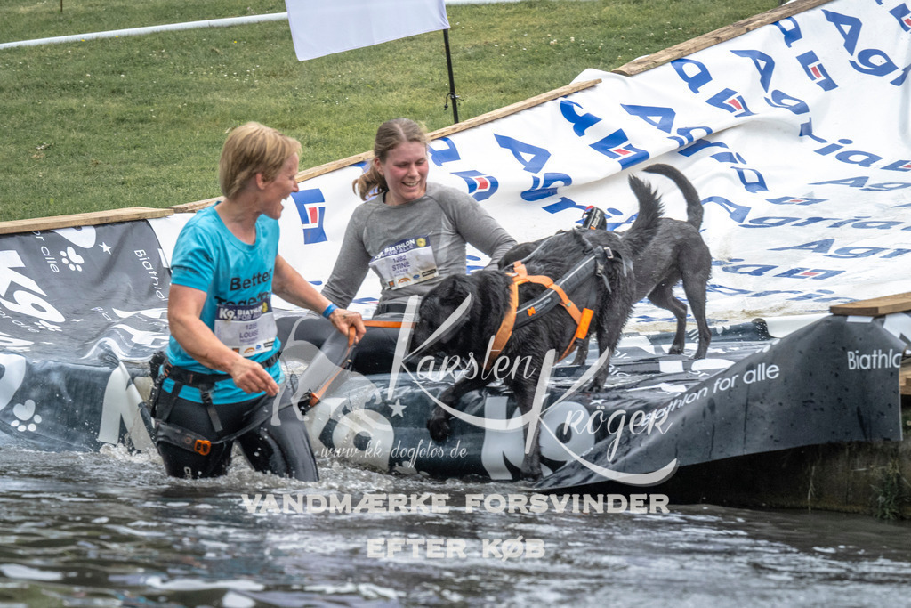 1511_ZZ93842 | kk-dogfotos