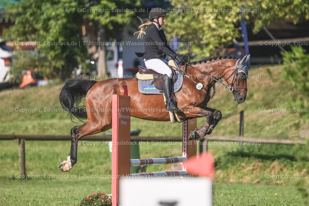 20230908_14-15_Springpferde-A_0067 | equistock