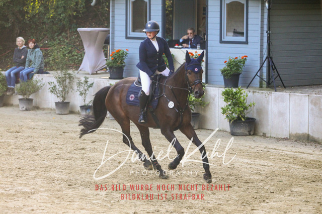 DKP42740 | Turniersportfotografie; Pferdefotografie; Dressurfotografie