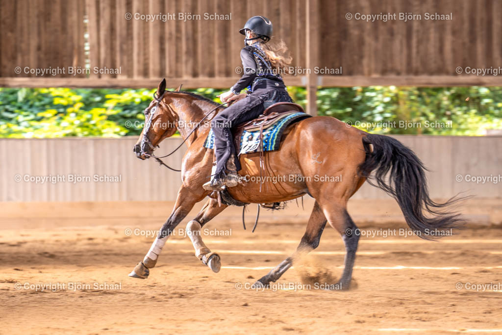 LMB03477 | BS-foto