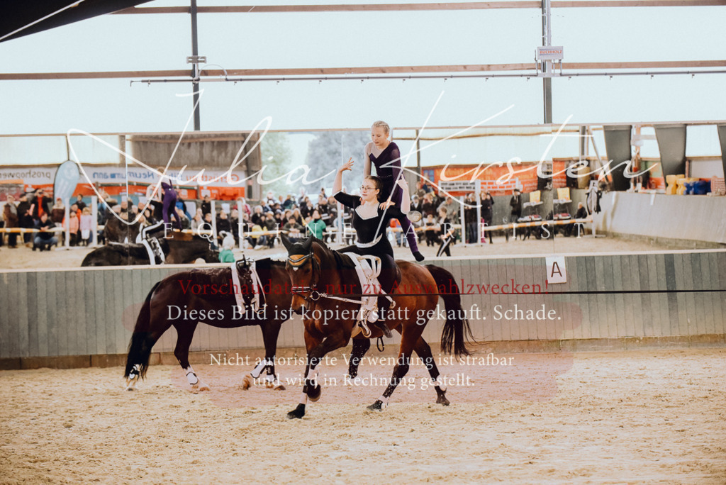 DSC_6895 | Pferde- und Turnierfotografie in Westsachsen. Pferdeportraits, Auftragszeichnungen und intuitive Kunst.