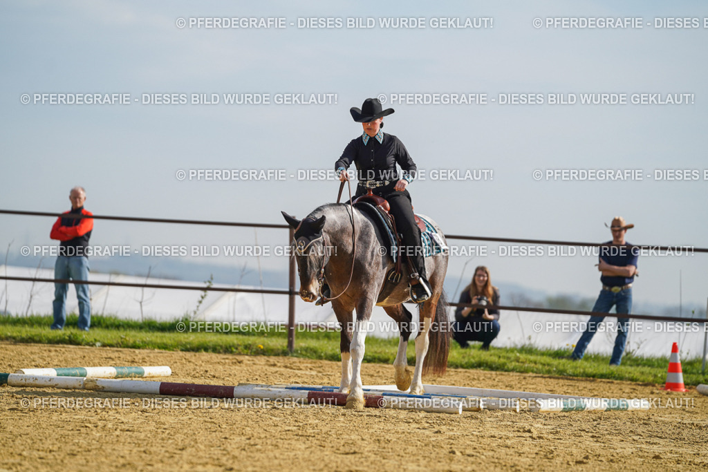 DSC01144 | Pferdegrafie