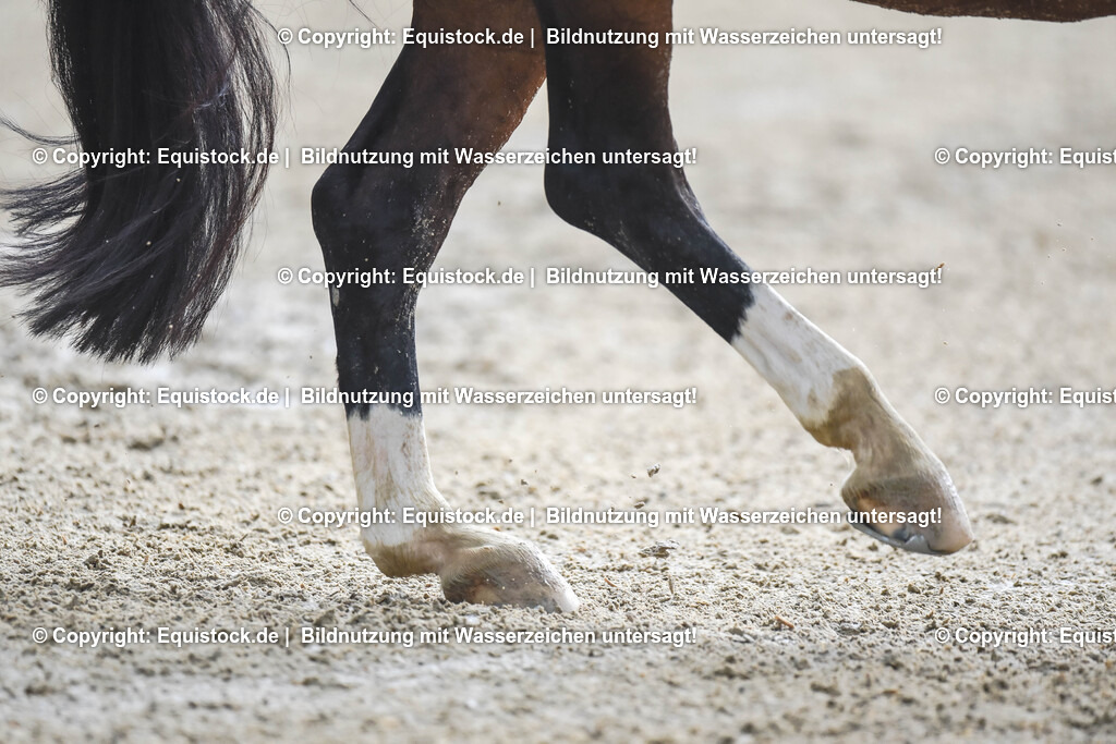 20240519_03_GP-Special-Tour_0164 | Foto: Thomas Hartig