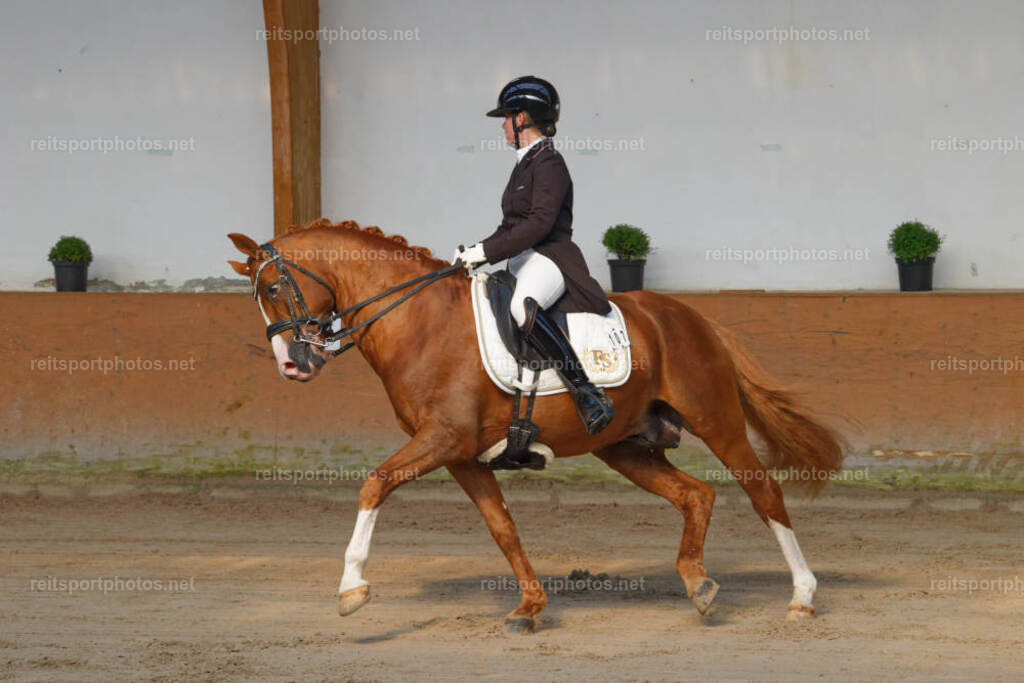 JHE_5268 | JoYa Fotografie - Realisiert mit Pictrs.com