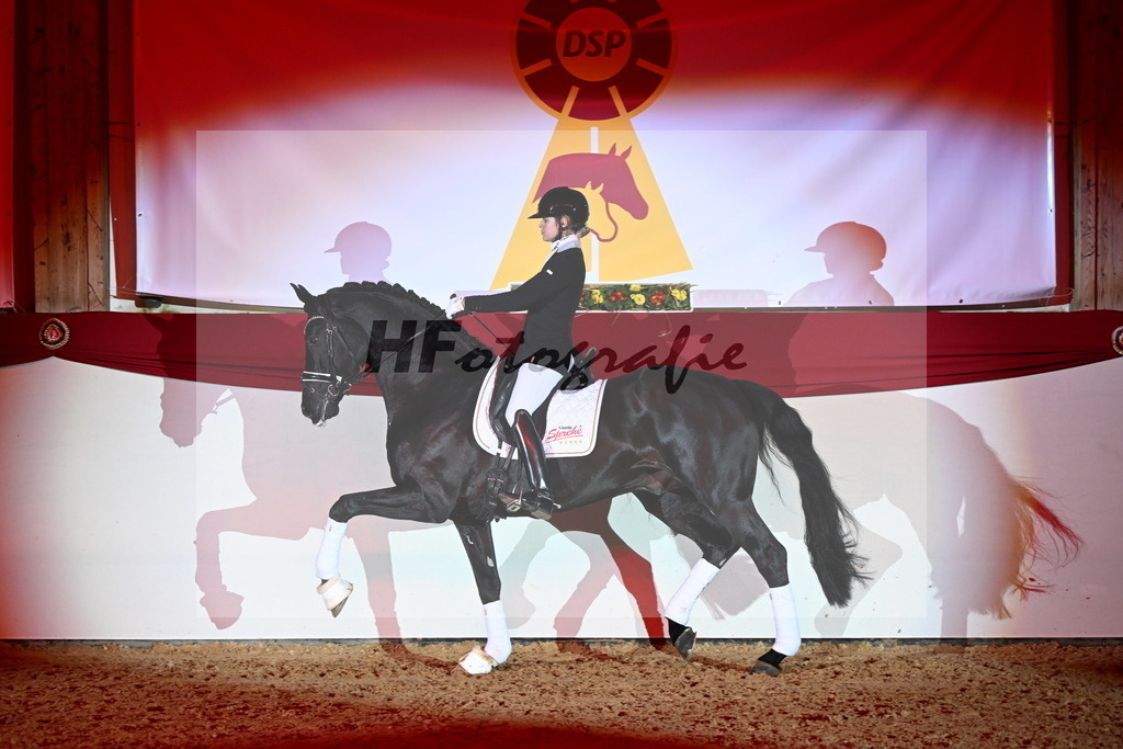 DSP Dream Royal_Arturi_2255176 | hf-fotografie - Realizzato con Pictrs.com